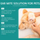 YEGBONG Pet Ear Cleaning Care Liquid Cat Dog Ear Wafer Odor Cleaning Ear Cleaning Liquid