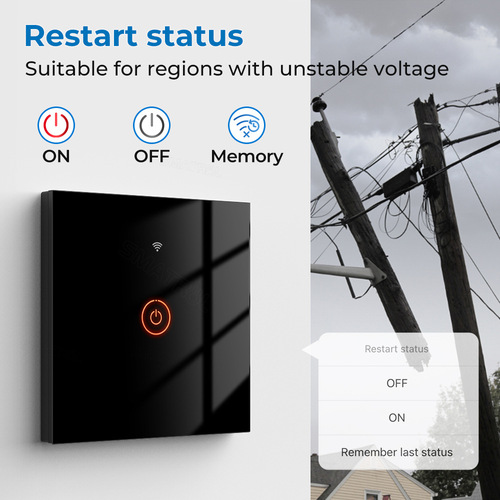 Tuya Smart Home 20A High Power Relay WiFi Touch Switch APP Timing Voice Control Switch