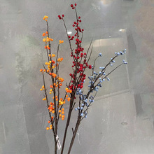 羳ltlؔGֲС{Ҿb滨ٻ