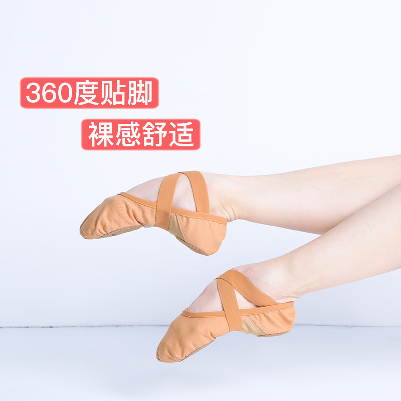 Zapatos de baile Lingyan zapatos de práctica de adultos femeninos de fondo suave zapatos de ballet de tela elástica zapatos de cuerpo sin cordones zapatos de garra de gato