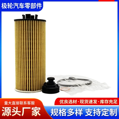 11428570590 Is the Oil Filter Element for the Engine of the Bmw 16 Model 118Ix5 (Oil filter)