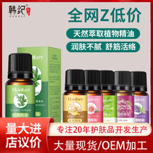 韩纪艾草植物精油10ml生姜玫瑰精油美容院刮痧按摩复方精油批发