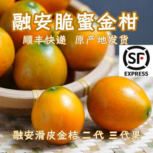 �l��S���V�������ڰ���۴��۽��5��ڶ�������������