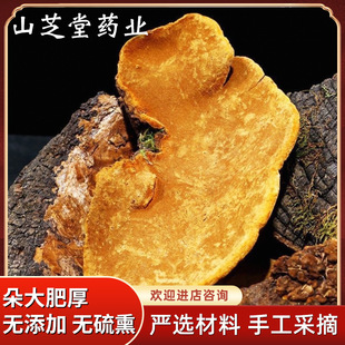 ���ɣ�S��ȫ ����Ұ�� �L��ɽҰ�� �Nֲɣ�S���l�`֥