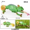HZJM669 Chameleon