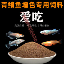 青鳉鱼饲料观背开口鱼粮小型鱼高蛋白小颗粒不浑水上浮增色鱼苗鱼