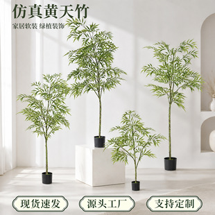 �����S�����҃ȿ͏dܛ�b�پGֲ�[���Ƶ����ޙ����쾰��������b�
