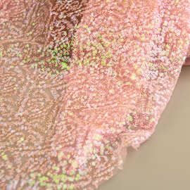 粉色现货亮片绣片网纱网布 礼服裙纱女装童装面料 3mm绣片网布