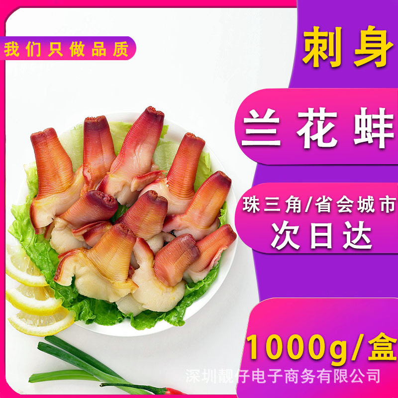 兰花蚌冰山蚌有冰衣象拔蚌北极贝裙边刺身即食材日式寿司料理蚌类