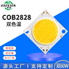 COB2825双色温灯珠130W大功率正白冷白双色集成光源2828高亮灯珠|ms