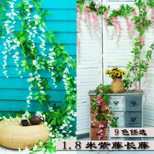 �������ٻ��h�ٗl�������������b�ֲ���픹ܵ����{�̨�҃��b�