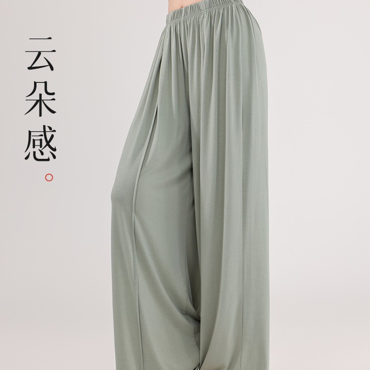 Modern Dance Pants Straight-Leg Pants Drape Dance Clothes Chinese Dance Flowing Wide-Leg Pants Classical Dance Practice Clothes