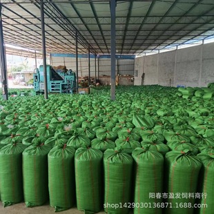 ţ���� ţ��� ��������  ���׽ն�   ��������   ���ϲ���