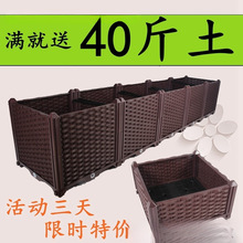 �����߲˷N�����̨�L�����ش�����Nֲ��N�����ͥ���ϻ��軨��