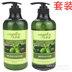 Caileen Olive Family Set Moisturizing Anti-Dandruff Shampoo Hair Care Smooth and Hydrating Men's and Women's Moisturizing Shower Gel