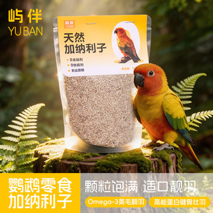 �Z���W�^�Z�Bʳ��ϼӼ{���ӹ������P��Ƥĵ��С̫ꖻ�ϷN�ӼZ