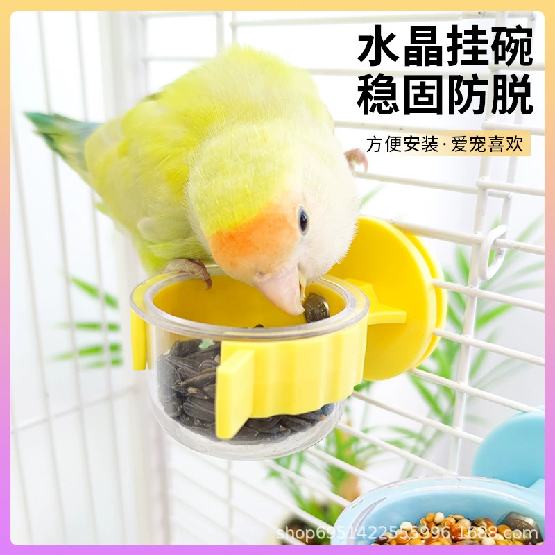 Попугай хрустальная замочная вода миска с пищей