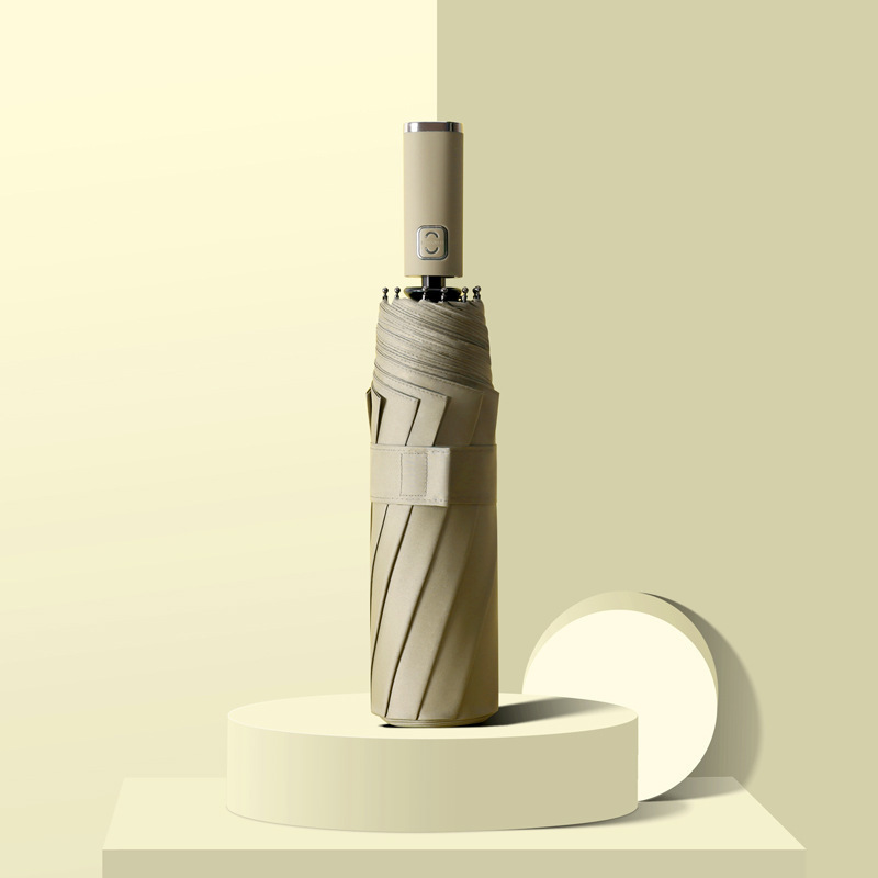 ȫԶżԼɡɡԶɡ10ǿǼܺڽ̫ɡ