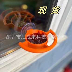 �������Pʽ�B�ιʳ��Bird Feeder Window Suction Cup Holder