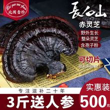 ѩ Ұ`֥l`֥Ƭ֥ҰLɽƬݾʳșþ