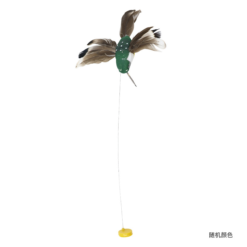 새 액세서리
