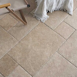 �����L�͹����Sɫ�Rķʯ�¹ű��u�͏d����@��ͥԺ�e�����޵شu