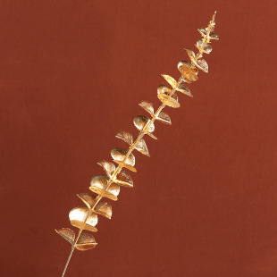 ɫ滨긣Ͱȼy~ϻ廨bٻ