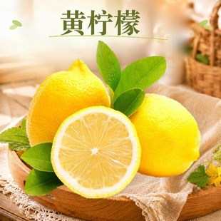 �Ĵ������S���� ���l1/2/3/5��Ƥ����֭����̲��Ʒ�Y�����rˮ��