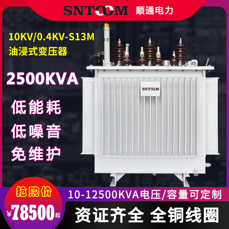 S13M大型工业油浸式电力配电变压器80高压10KV250全铜315/2500KVA