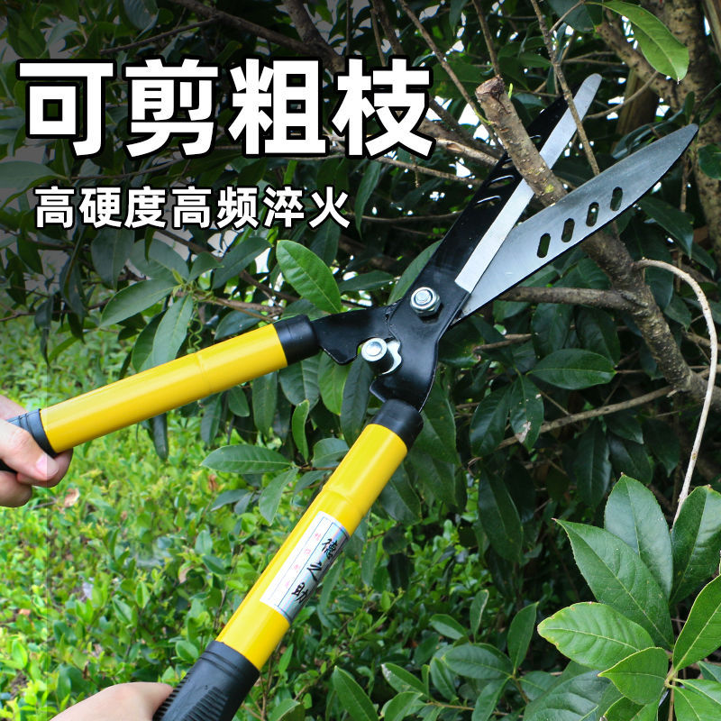 Corte especial de césped cuchillo de poda forestal verde jardín cortador cortador vivero herramienta de poda árbol de té flores cortador telescópico