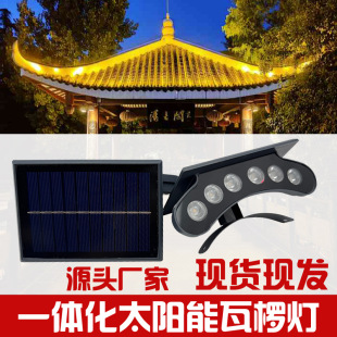 �����羳���̌���̫���һ�w�ߙ���Ž��B��ͤ�������Ř���Ƭ��