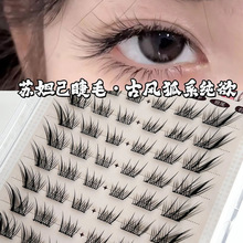 ��ϵ�K槼����z�ٽ�ë����ϵ��ʽб�w���ܾ��N��Ȼ���������