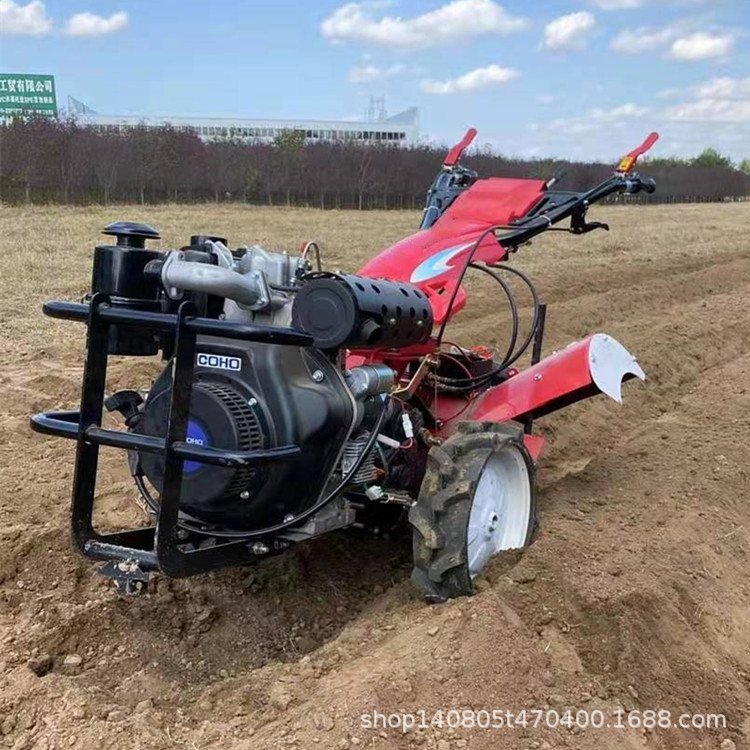 u=231105306,2108364727&fm=