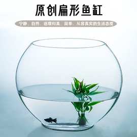 【单个代发】扁口玻璃鱼缸椭圆形 高白透明金鱼缸迷你桌水族箱