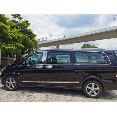 Şüşə kənarı xromları/moldingləri trim V250V260L stainless steel