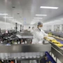 自动成套鲜食玉米流水线