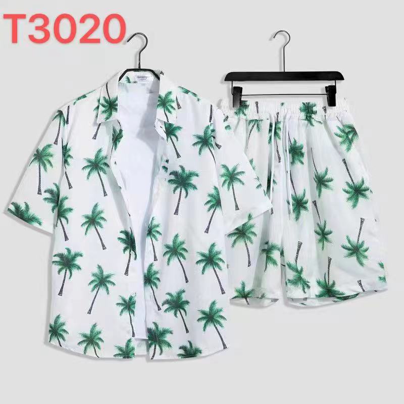 (류지아) T3020 세트