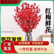 һ�����l����ˮ��t÷���һ����֦�������r���҃Ȼ���ѩ��������