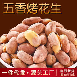 五香烤花生便携小包装酥脆花生米坚果炒货办公休闲零食小吃代发