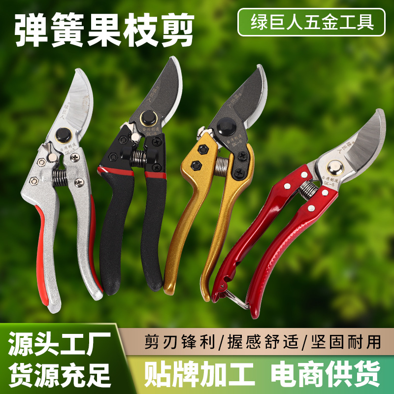 SK5钢修枝剪强力粗枝剪果树修枝剪园艺枝条家用树枝花木省力剪刀