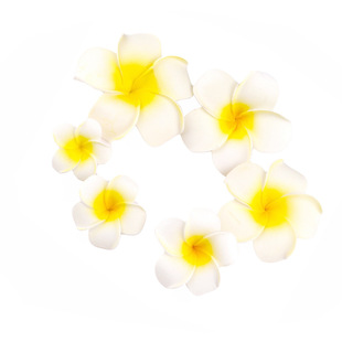 4/5/6/7/8cm �u������������ĭ�����컨�^��r����Y�Ɍ��Ҿ��b�