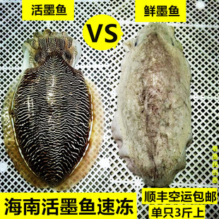 �����ī�~Ұ������ī�~�г���̖���ˮ�a���r����\Ŀ�~ī���~