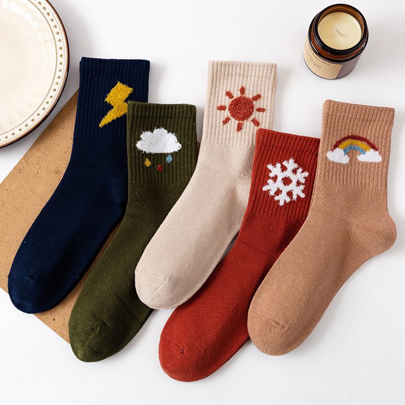 21 autumn and winter thickened socks Japanese pure color women's flocking weather elements mid-calf women's socks half velvet embroidered INS fashion