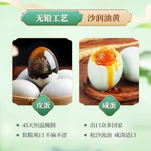 �ɻ���Ƥ�� ����������