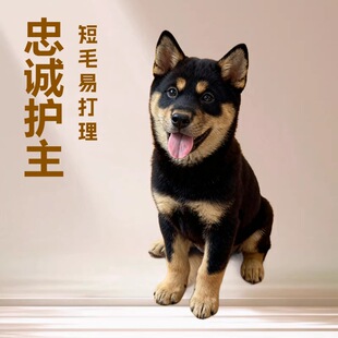 ���N���A��@Ȯ���۹���Ȯ�F�����F���y�ڹ����\�o���oԺ����@Ȯ