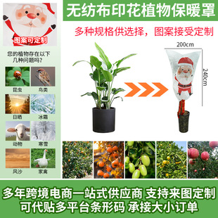 �羳�o���������ֱ��o���Ӻ���������ֲ�ﶬ���N�˱�ů�־Gֲ