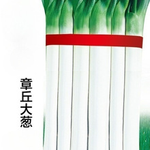 ������[�L�חl���[�N�������F�U����ͩ��������[�Ѹ߮a�߲˷N��