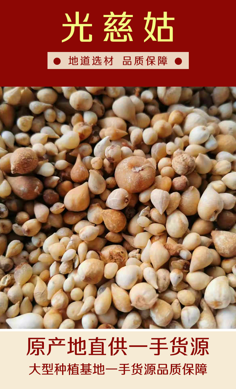 Dried Guang Gu Ci Bulbs 500g Natural Sun Dried Traditional Chinese Herb for Decoction and Culinary Use overview