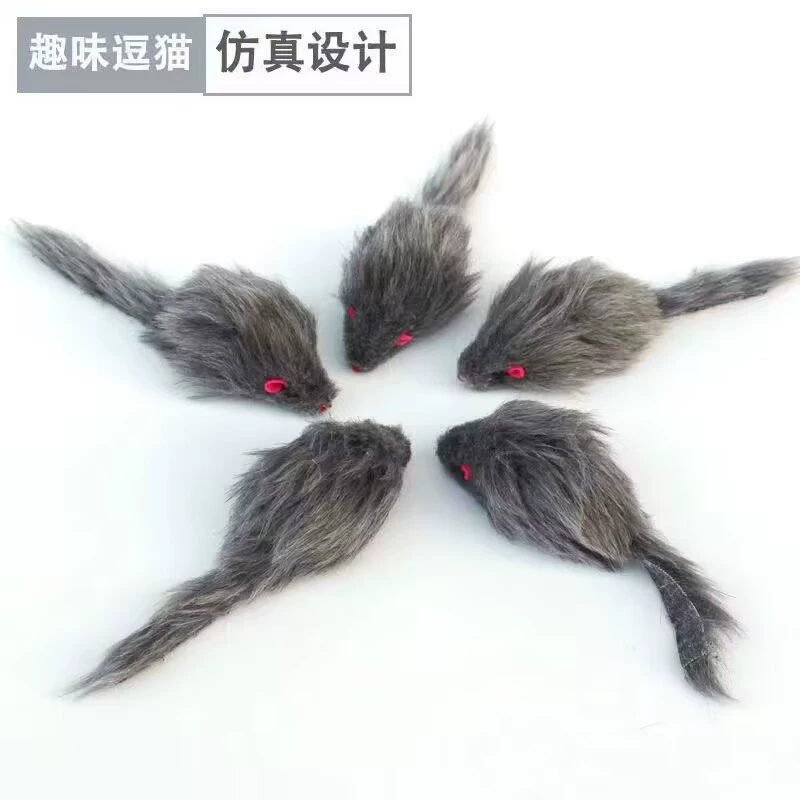 Plush realistic lifelike toy, cat, pet