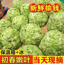 榆钱窝窝头野菜粗粮早餐新鲜手工面食主食北方馒头菜团子杂粮窝头